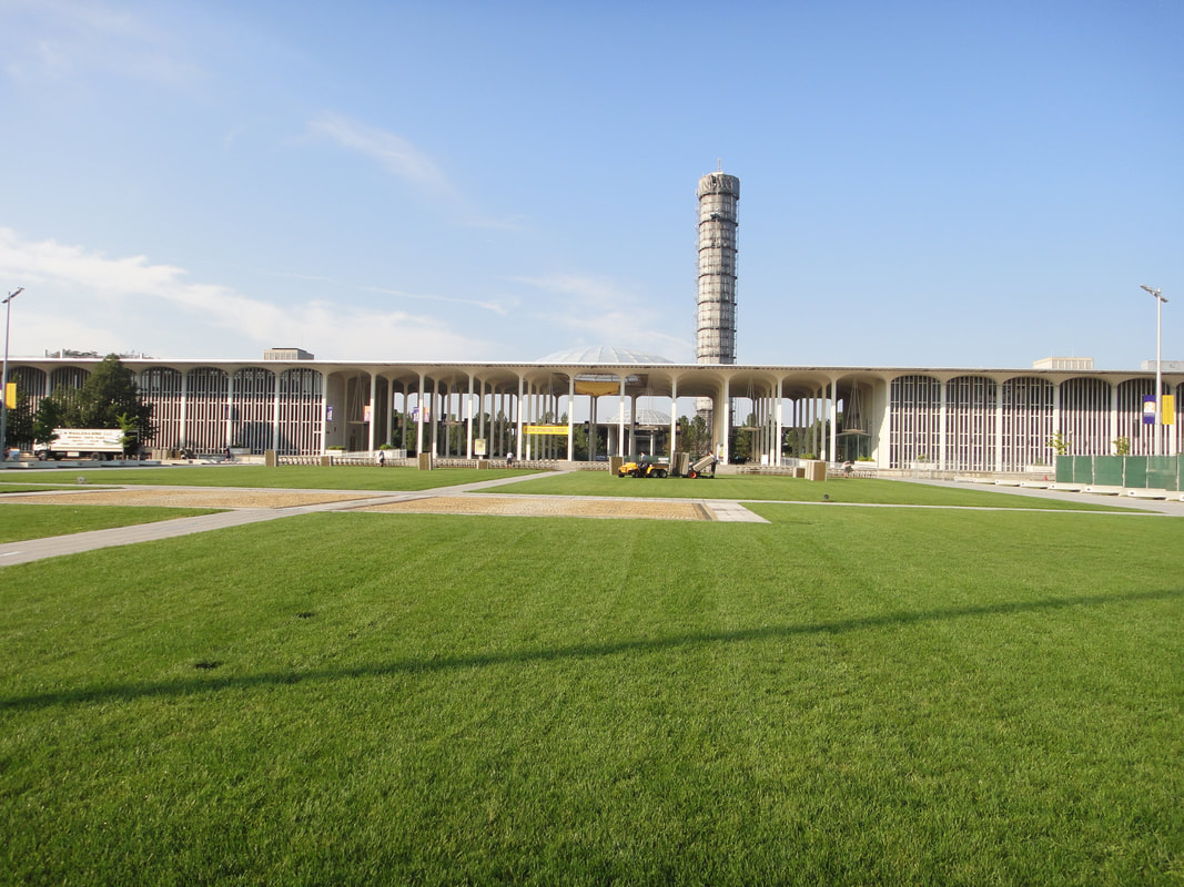 Picture